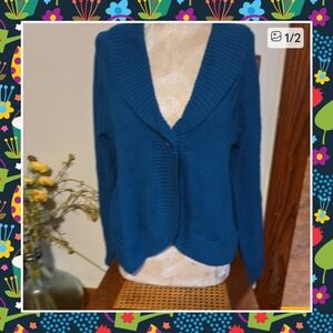 Carolyn Taylor Teal Cardigan Sweater Size Xl